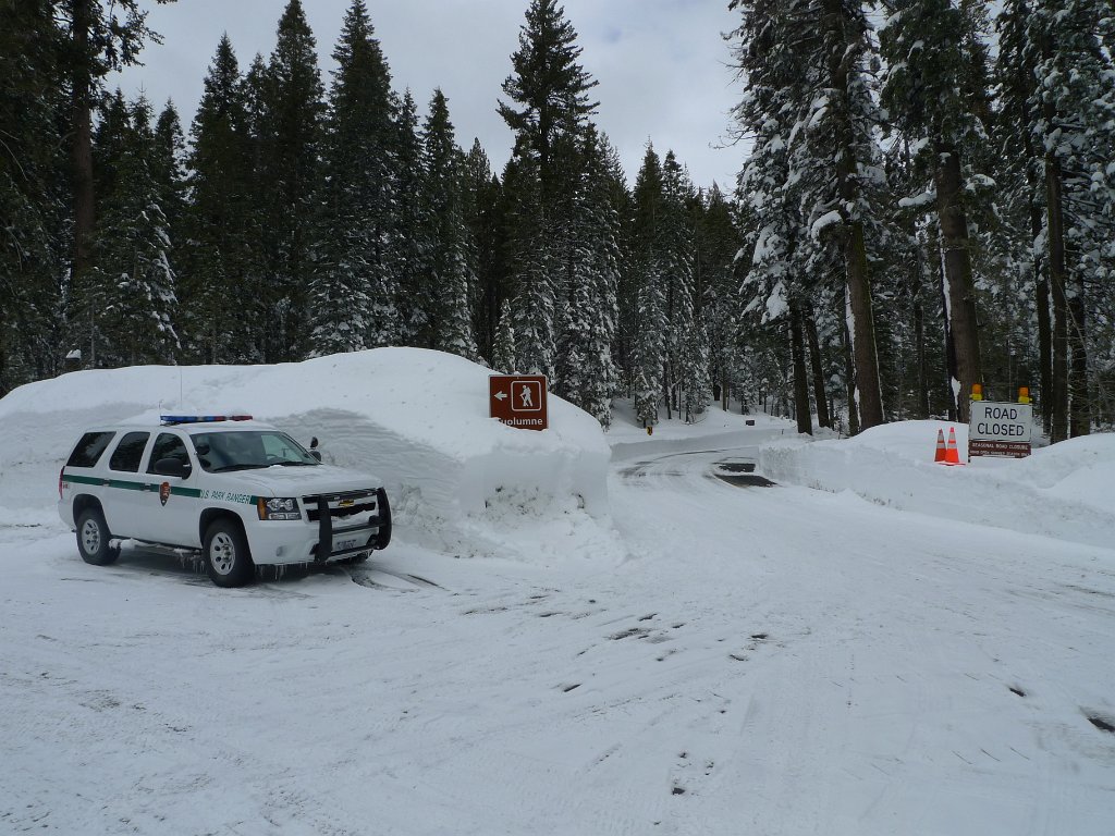 Yosemite_Valley (120).JPG - Tuolumne Grove. The road is closed pass the parking. Would be great  to ski down, but we are running out of time.